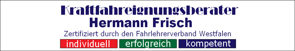 Hermann Frisch